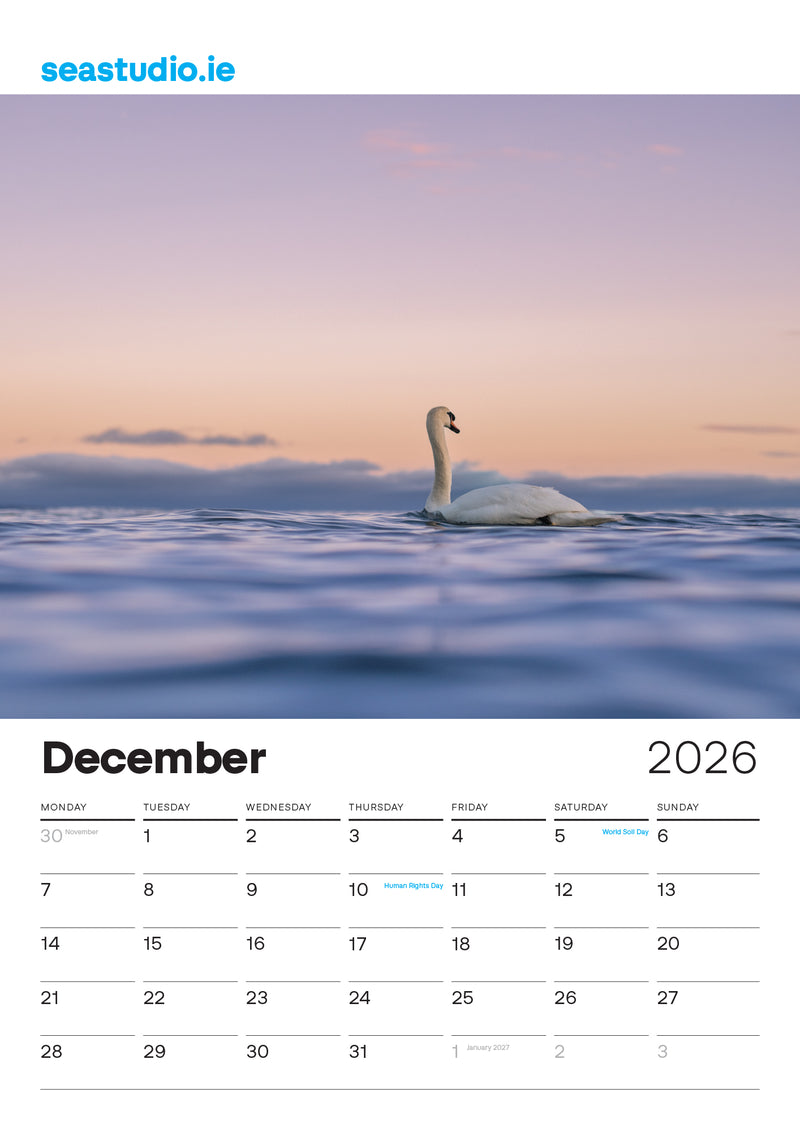 Sea Studio Calendar for December 2026 featuring a swan on water with a sunset background, branded 'seastudio.ie'.